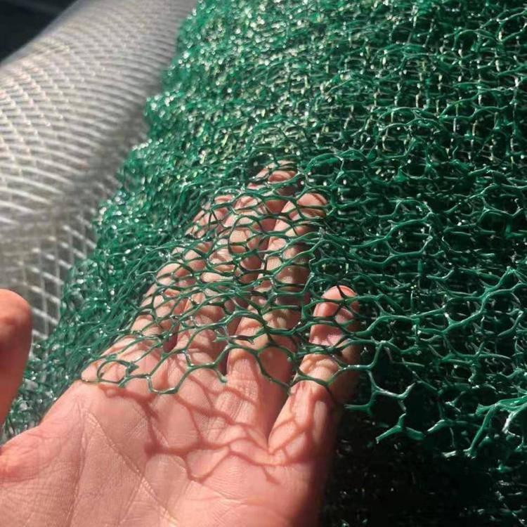 山体绿化em4层植草网防风固沙防止水土流失三维植被网图片