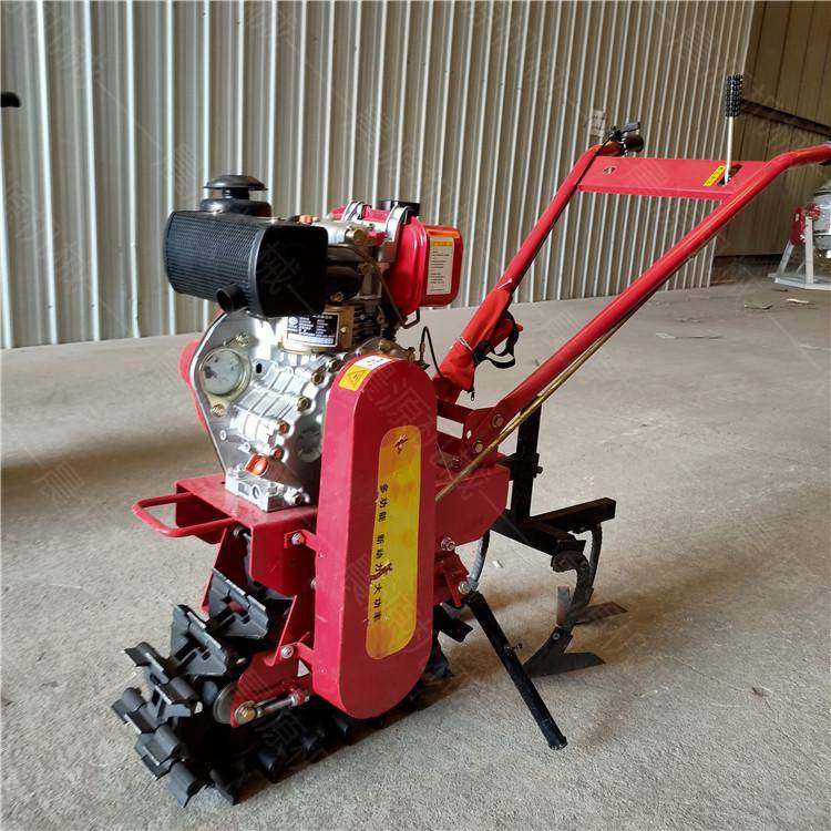蔬菜种植趟地机小红牛微耕机农田松土耕地机图片