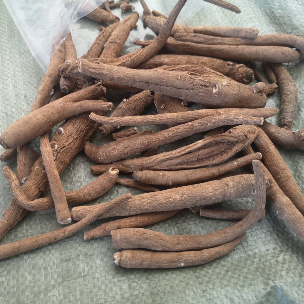 野生地壮雄根地壮雄根价格地壮雄根厂家