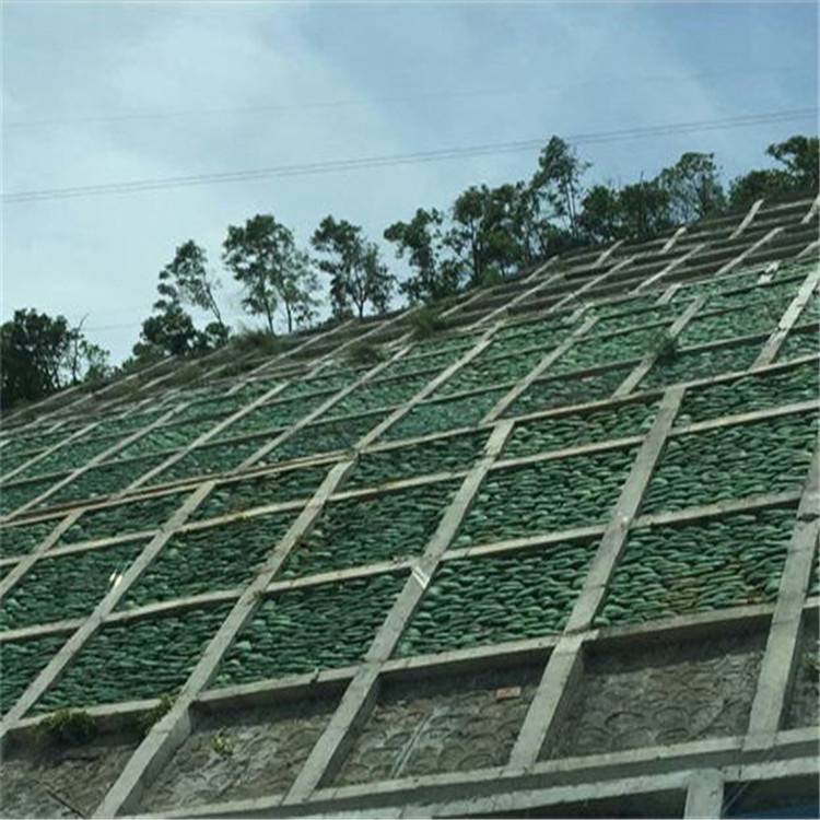 进入公司首页禹城市远景护坡材料有限公司 主营:环保草毯,植物纤维毯