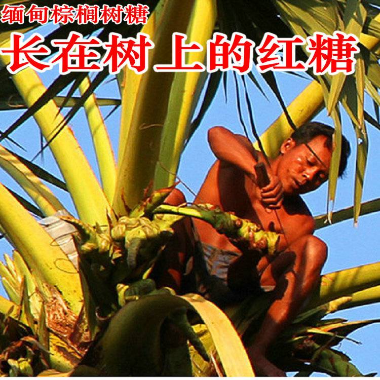 彝山香长期批发棕榈树糖椰糖棕榈糖缅甸特产白糖