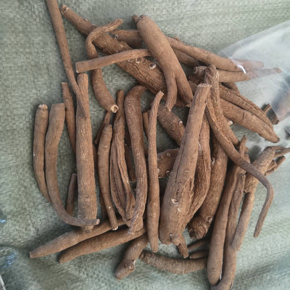 野生地壮雄根地壮雄根价格地壮雄根厂家