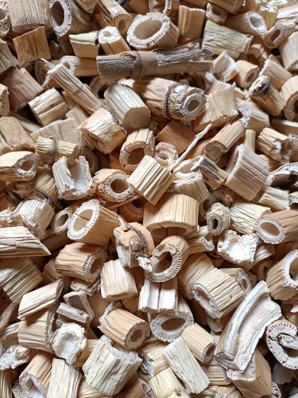 供应中药芦根批发芦根新货