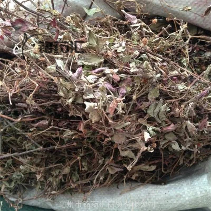 中药材四季红野生三季红包邮三李白铭药汇冷背大全批发