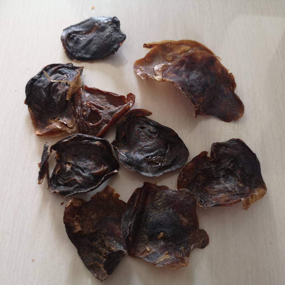 中药猫胞衣功效与作用猫衣产地批发价格哪里可以购买多少钱一公斤图片