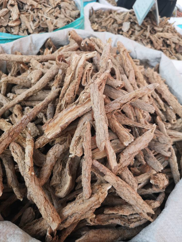 野地骨皮野生地骨皮价格地骨皮功效