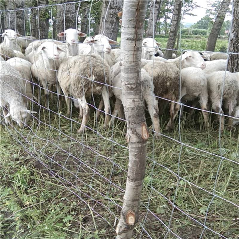 羊围栏样式图片