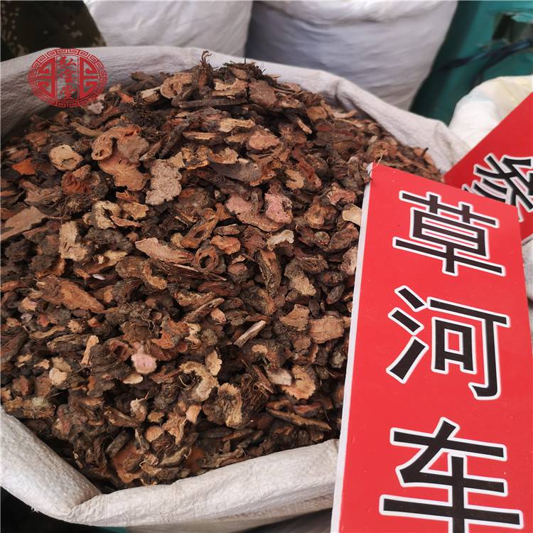 硬骨草的功效与作用_极草5x冬虫夏草的功效与作用_罗布麻茶的功效与