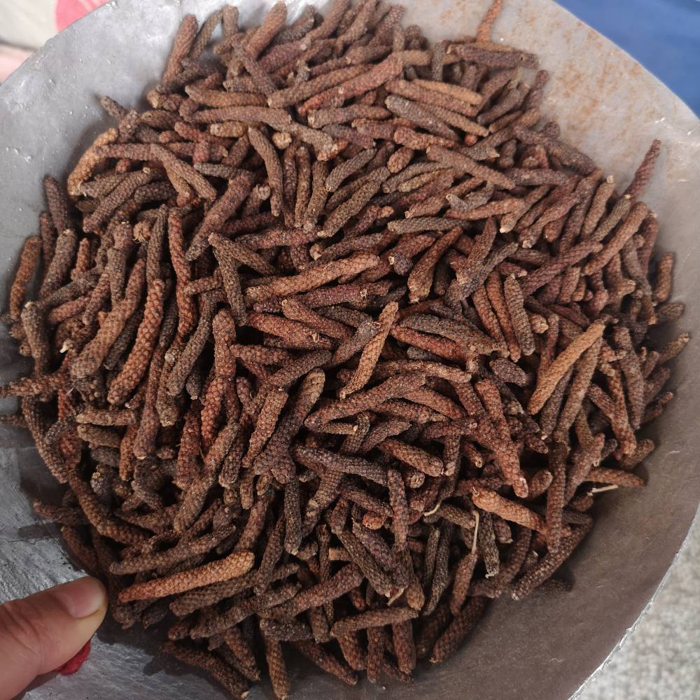 荜茇批发荜菝的功效香料批发