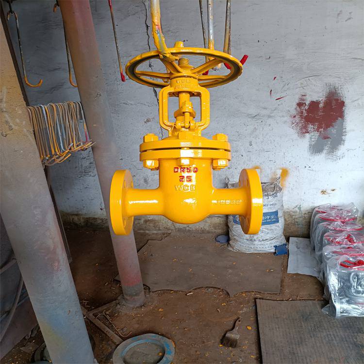 j41n40cdn100wcb材质截止阀氨用法兰止回阀销售商