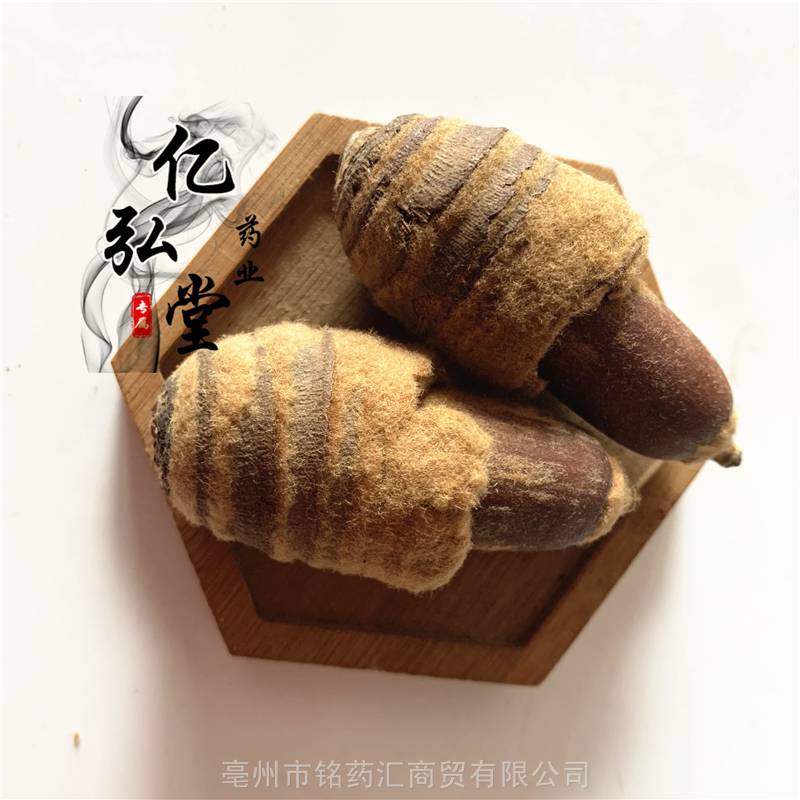 云南狗鞭果产地