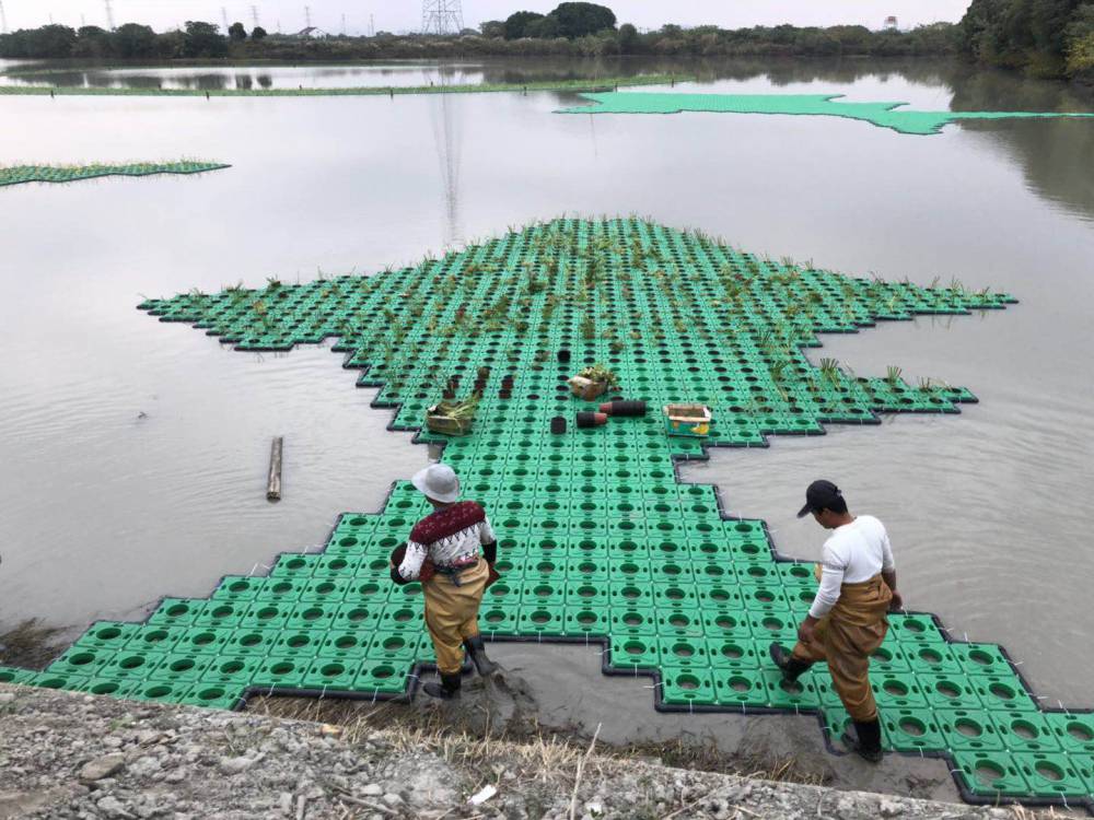 2020年人工浮岛施工队伍水生植物浮床生产厂家