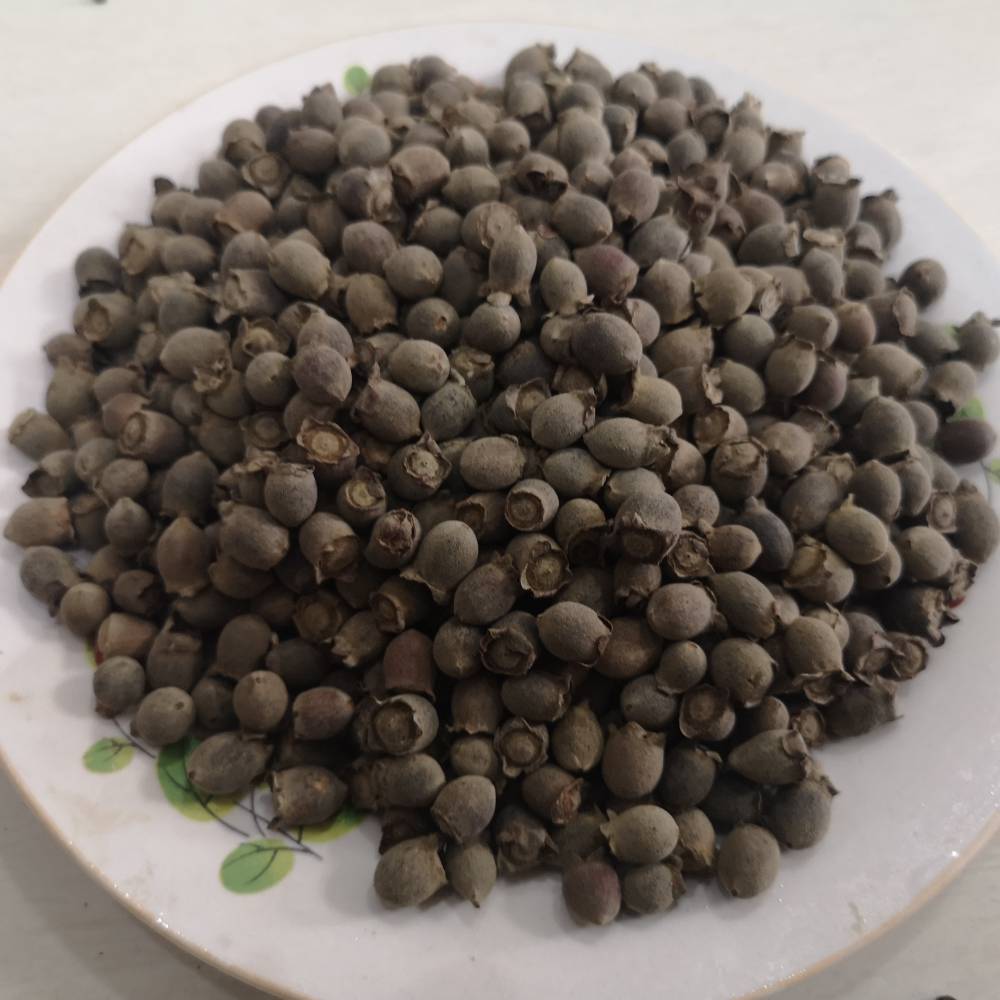 中药材豆棯干山棯子是什么桃金娘籽价格多少钱