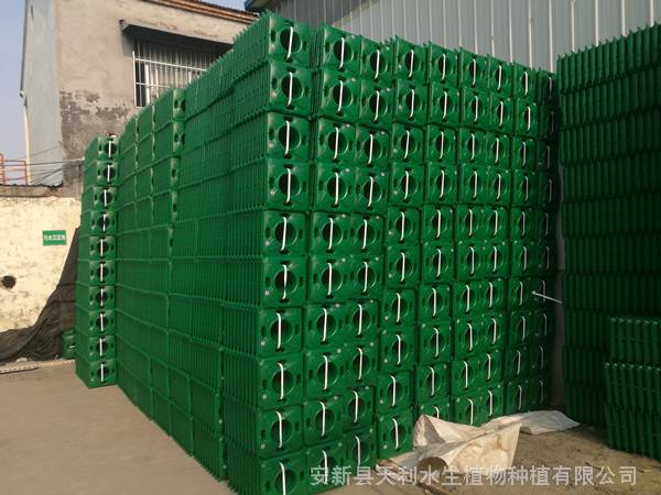 人工生态浮岛安装,负责施工养护管理,水体绿化浮岛