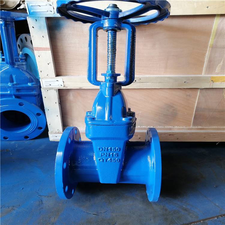 dn1000z541x16q软密封明杆弹性座闸阀污水雨水自来水球墨铸铁闸阀