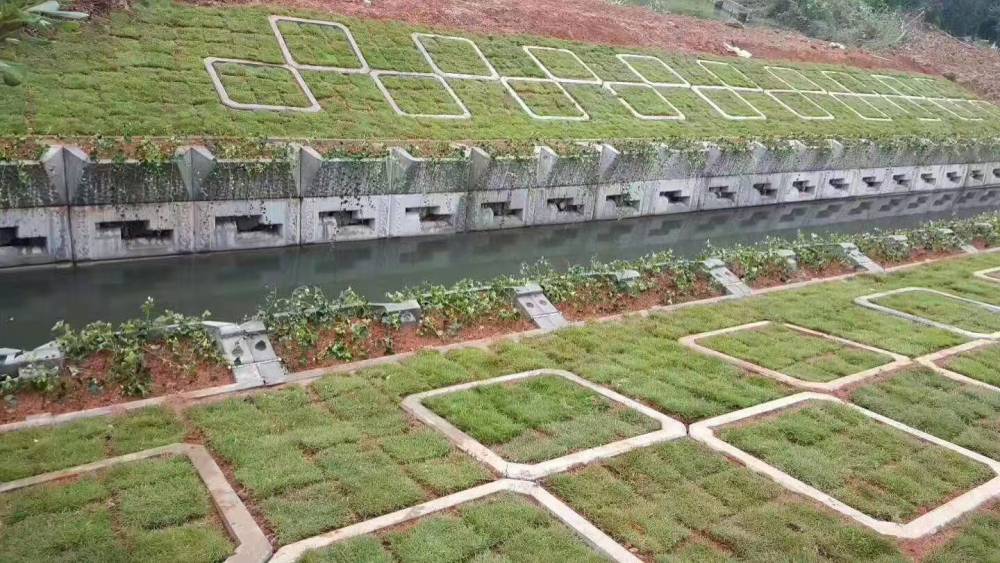 平铺绿化框式护坡108?108?12cm平铺护岸框