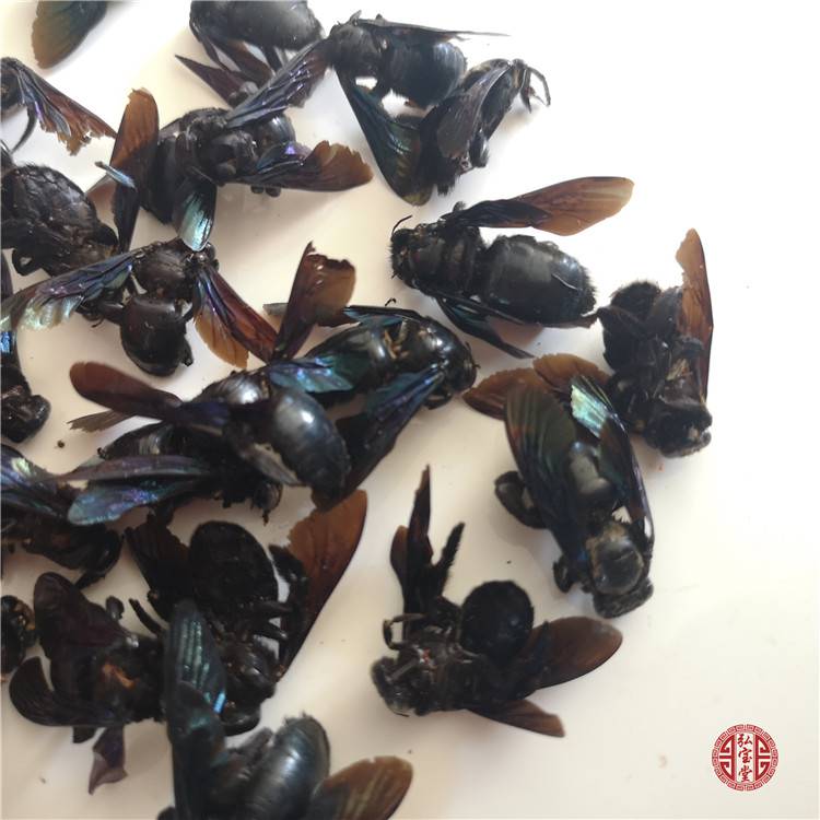 中药材竹蜂药用如何使用竹蜜蜂产地哪里购买多少钱一公斤图片