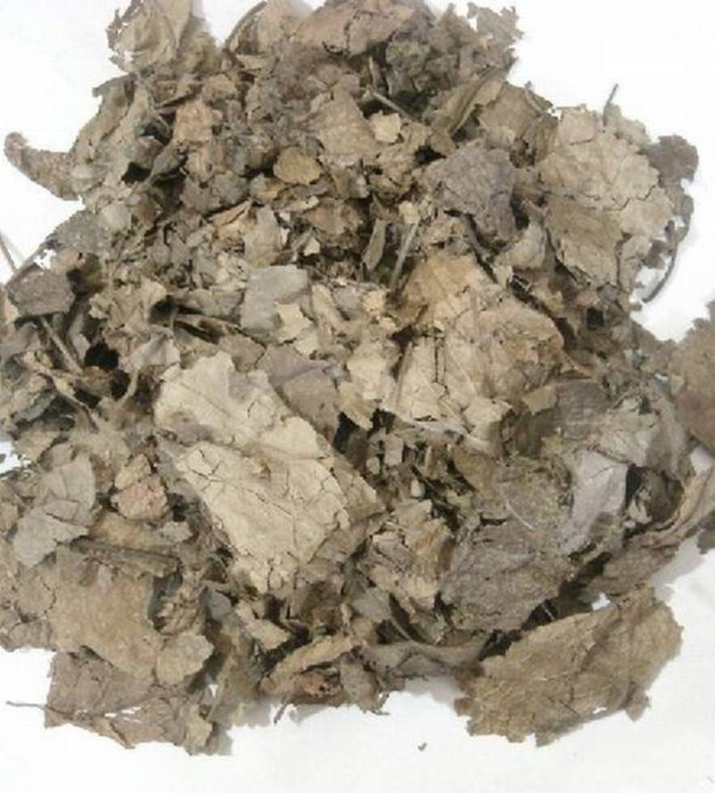 杜仲叶干新思仲叶独一味叶冬葵叶亳州药都六顺堂