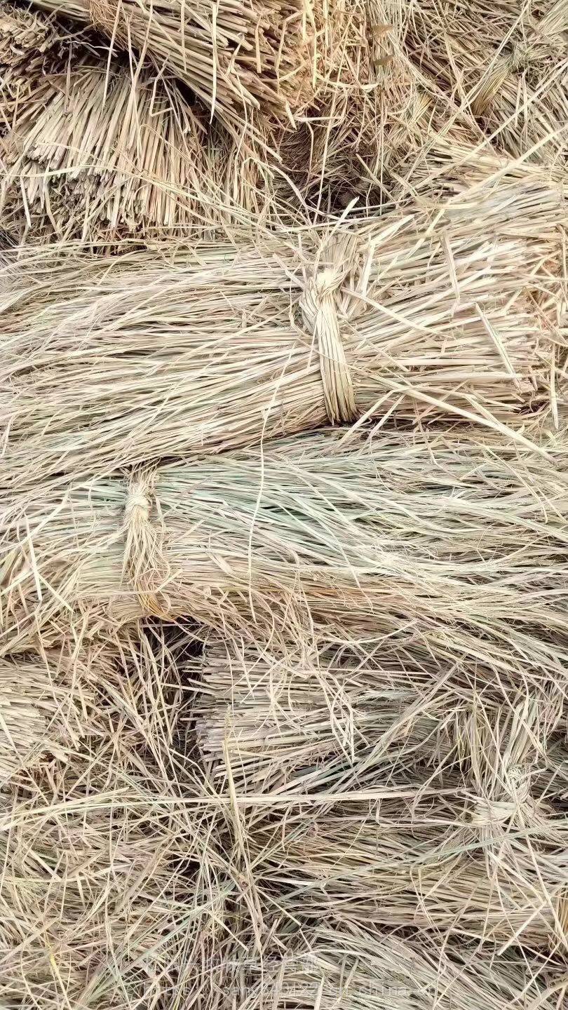 稻草干草铡段 全国发货 牛羊草干秸秆料 牛草干料 稻草秸粉碎纤维 马