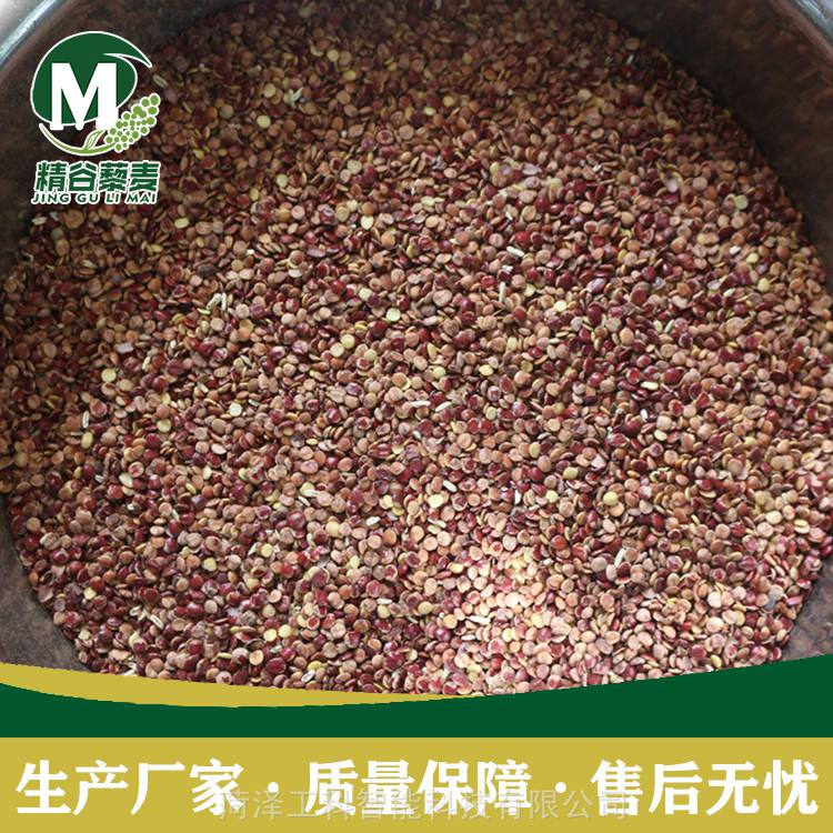 酸枣仁脱皮机脱壳机酸枣核去皮机酸枣种子剥皮机一遍成效果好