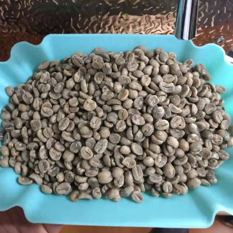 彝山香小粒咖啡AA水洗日晒黄卡杜拉咖啡豆产地批发