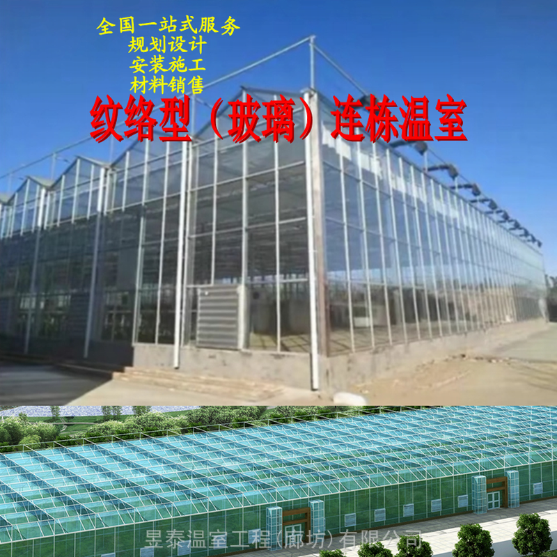 玻璃智能溫室紋絡陽光板連棟溫室昱泰溫室大棚材料銷售安裝施工圖片