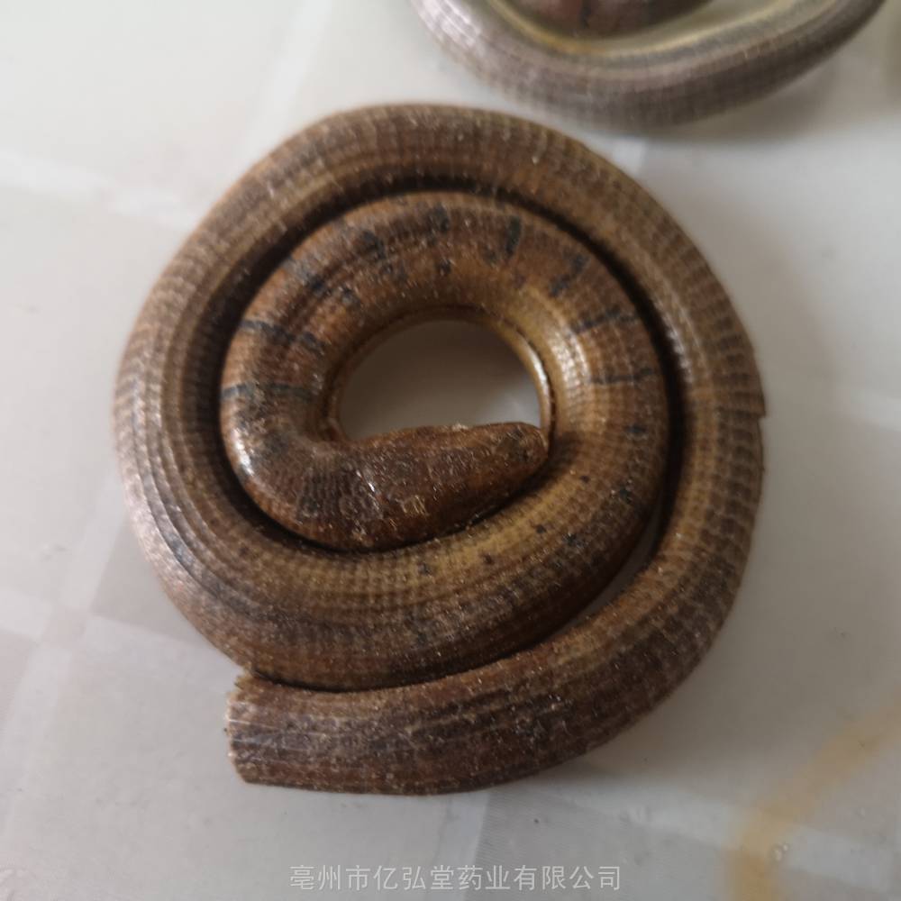 中药材脆蛇功效四川野生无脚蜥蛇一斤