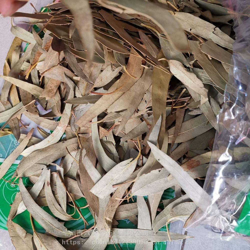 藤梨根纯根别名猕猴桃根九层塔青钱柳木瓜叶