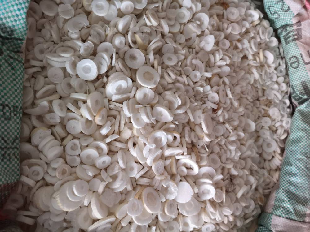 【中药材通草功效与作用 通花根,大通草,白通草,方