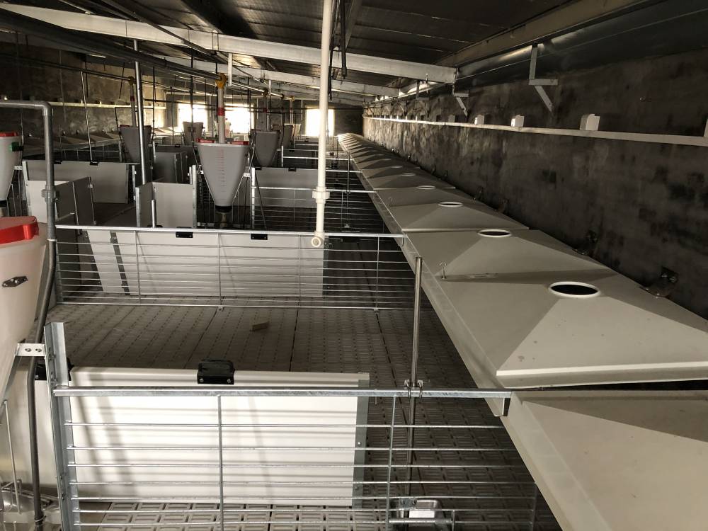 加厚仔猪保温箱玻璃钢小猪保育母猪产床用玻璃钢设备小猪取暖用保温箱