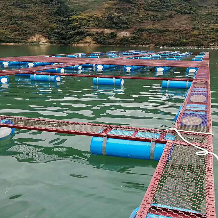 44网箱能养多少鱼 6×6的网箱能养多少鱼