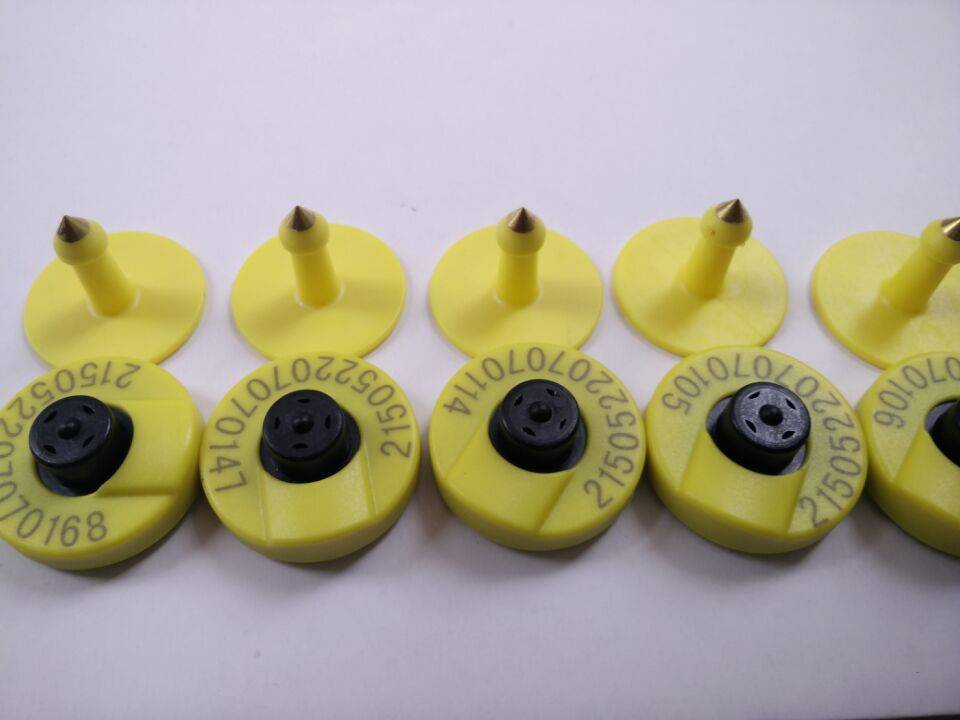 畜牧电子耳标动物耳标生猪追溯管理电子耳标rfid猪用耳标