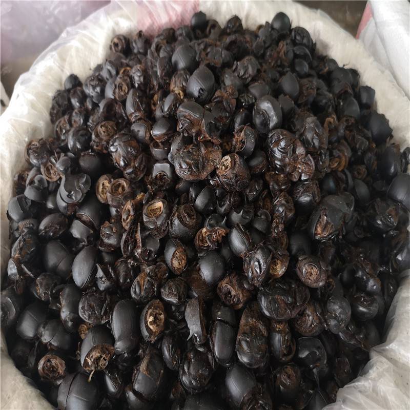 别名天社,转丸,弄丸,推丸,胡蜣螂,推车客,天水牛,推屎虫,黑牛儿,铁甲