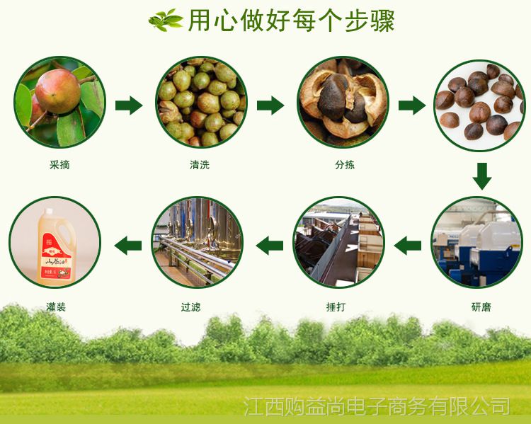 福伦500ml纯正野生山茶油精炼冷榨茶树油月子食用油茶籽油非调和