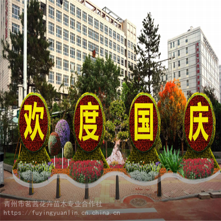 节日花卉节日组摆草花节日庆典花卉