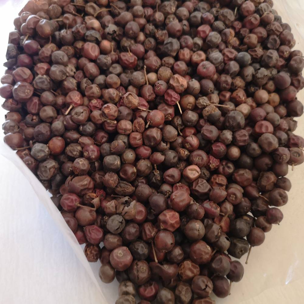 中药枸骨子批发枸骨子功效