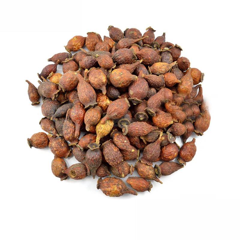 【金樱子】安徽金樱子_亳州金樱子 - 亳州市佟秀丽中药材种植有限公司