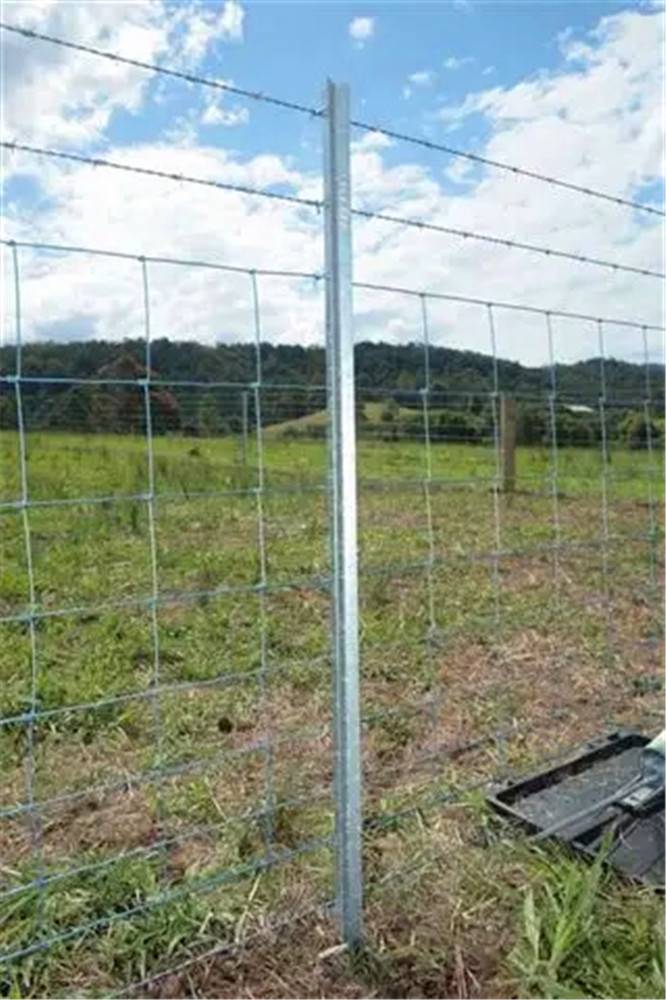 【草地治理便捷网围栏 草原镀锌铁丝围网 山地防护牛栏网】价格_厂家