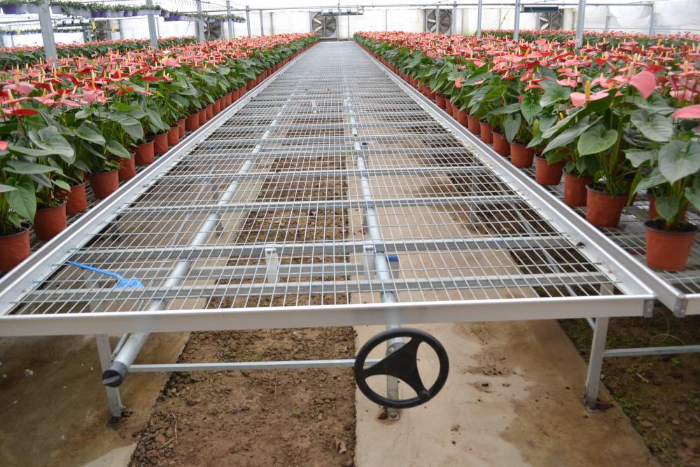 宇乾厂家移动苗床苗床网配件烟叶苗床量大优惠结实