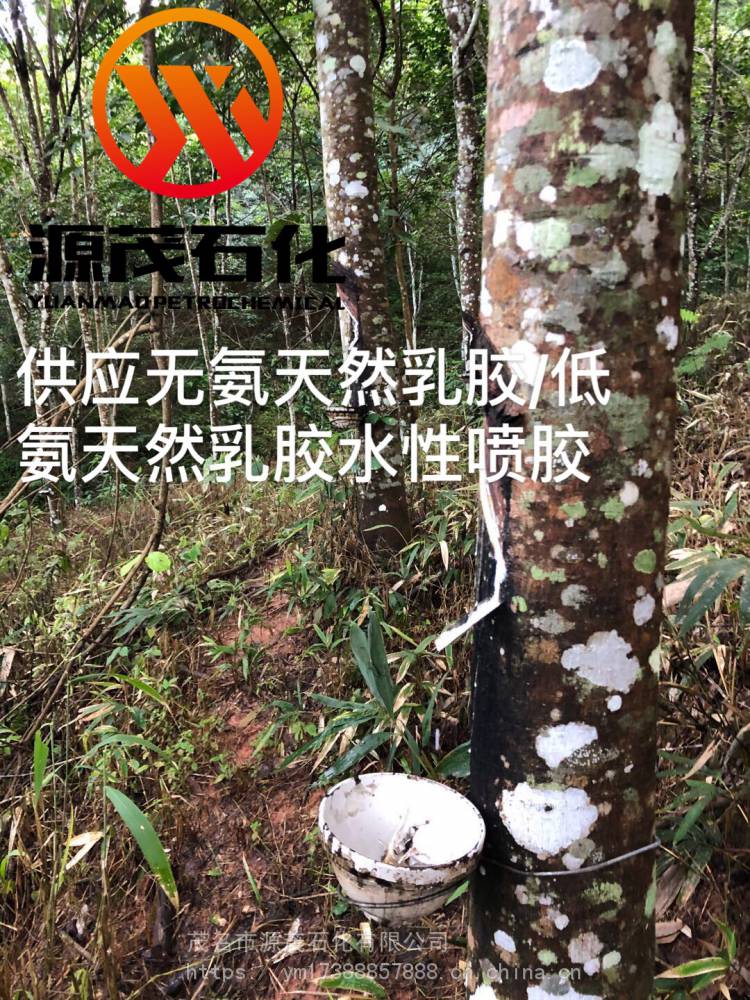 高氨乳胶云浮罗定源茂石化天然橡胶价格快迅