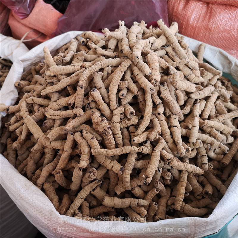 中药巴戟天价格野生巴戟天批发巴戟天功效