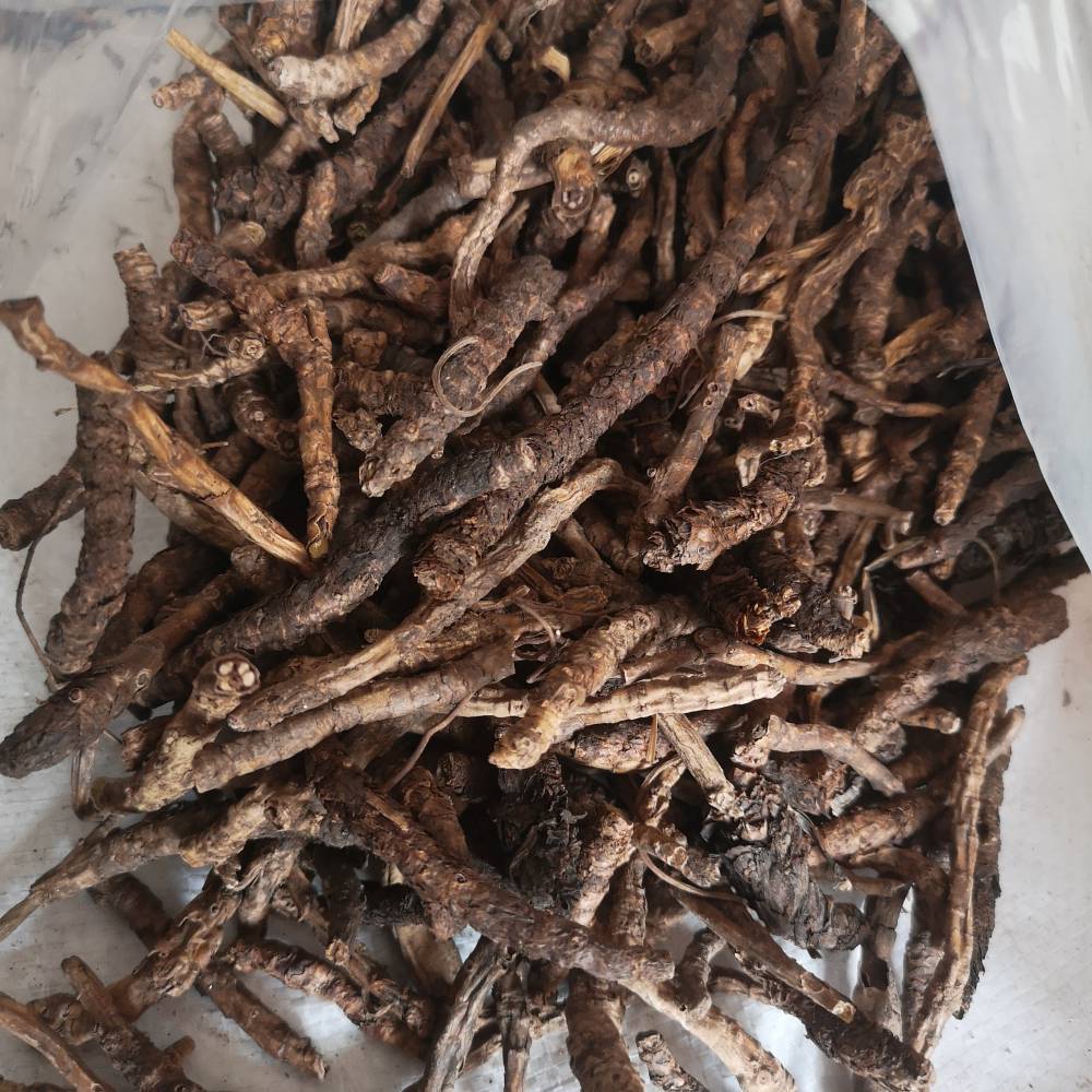 胡黄连无硫胡黄连价格胡黄连功效