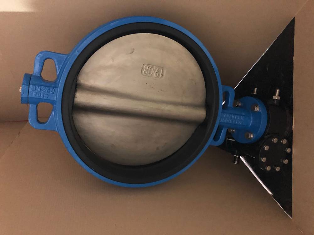 dn300涡轮对夹蝶阀球墨铸铁材质304阀板