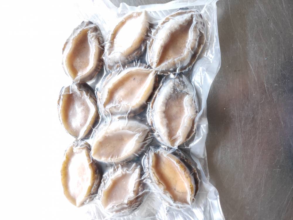 鲍鱼活冻鲍鱼6头25头每斤熟冻锁鲜无添加来自福建东山岛冻厂直批