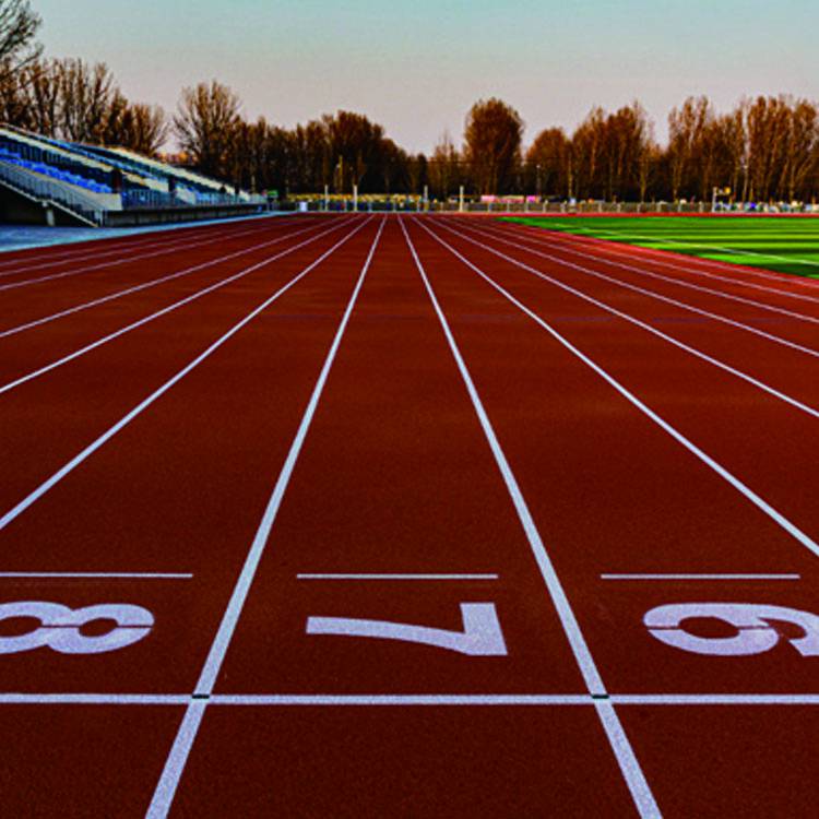 衡东区学校标准跑道施工田径场400米标准塑胶跑道透气型塑胶跑