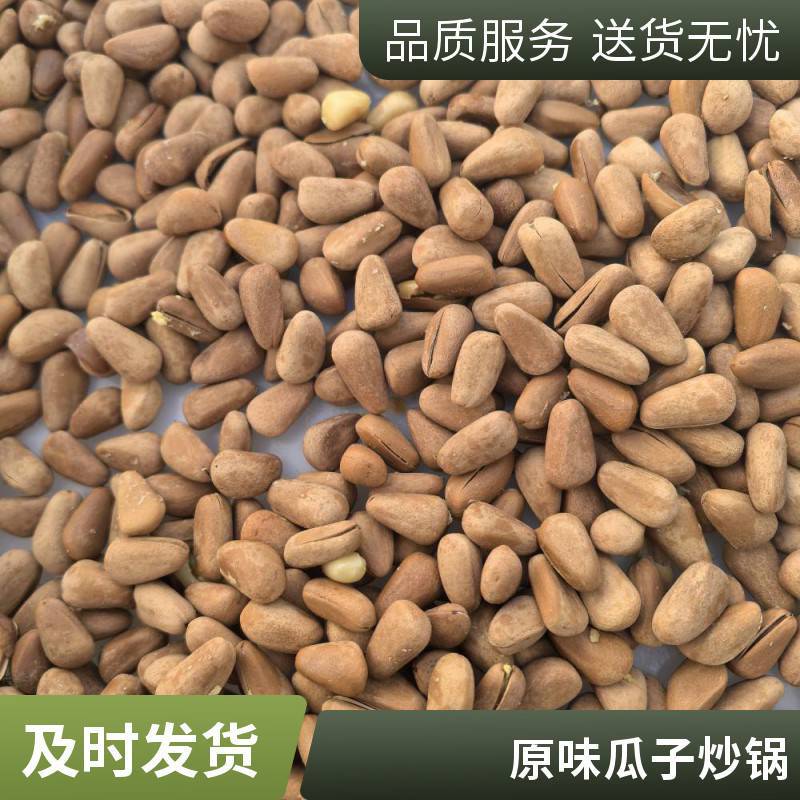 微波核桃炒货机 滚筒式五香瓜子翻炒设备 无盐炒锅 流水线烘培机