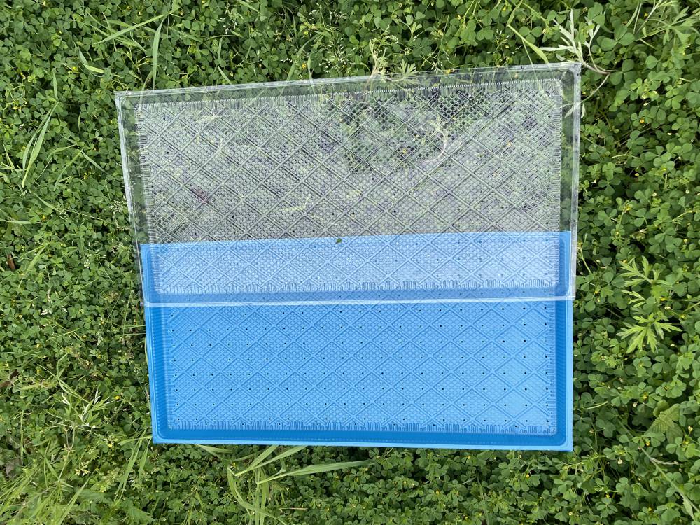 水稻育秧盘机插秧盘育苗盘平底盘9寸7寸加厚秧盘软盘