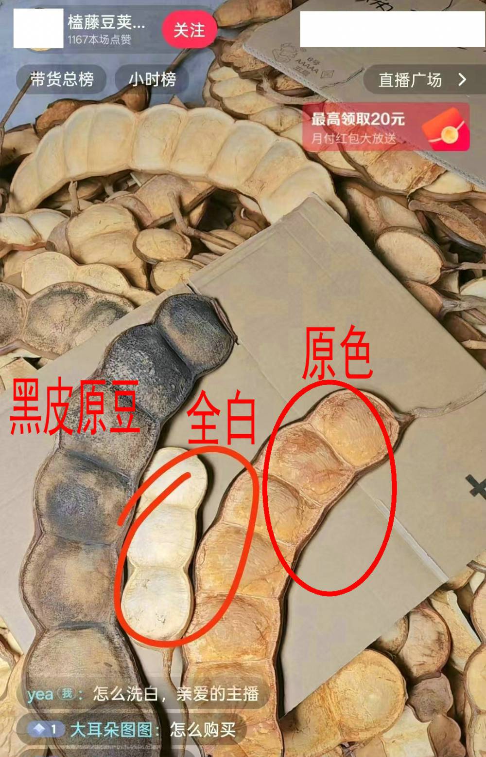 榼藤豆荚漂白粉，洗豆荚粉，洗豆荚水，洗豆荚药水，洗豆荚，洗大豆荚，洗黑豆荚，能把黑豆漂成原色（白色）