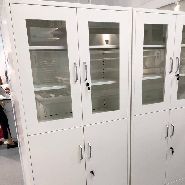诺尔实验室 全钢样品柜生产 实验室药品柜 试剂柜 展示柜定制