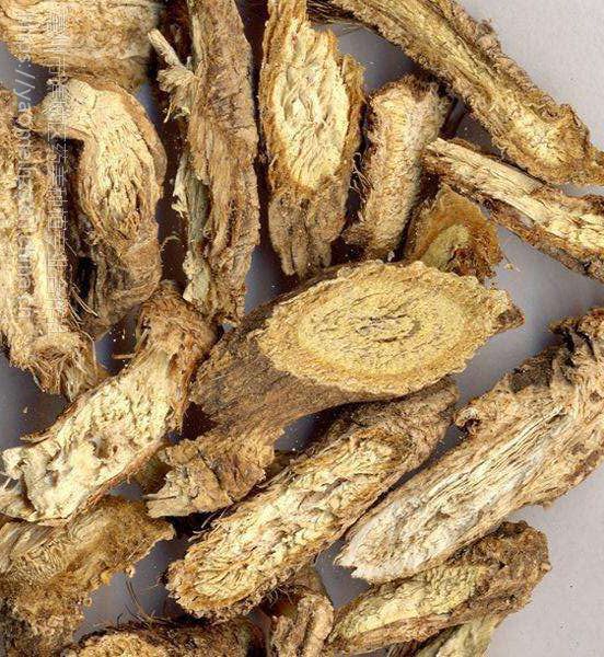 防风种子种植基地批发